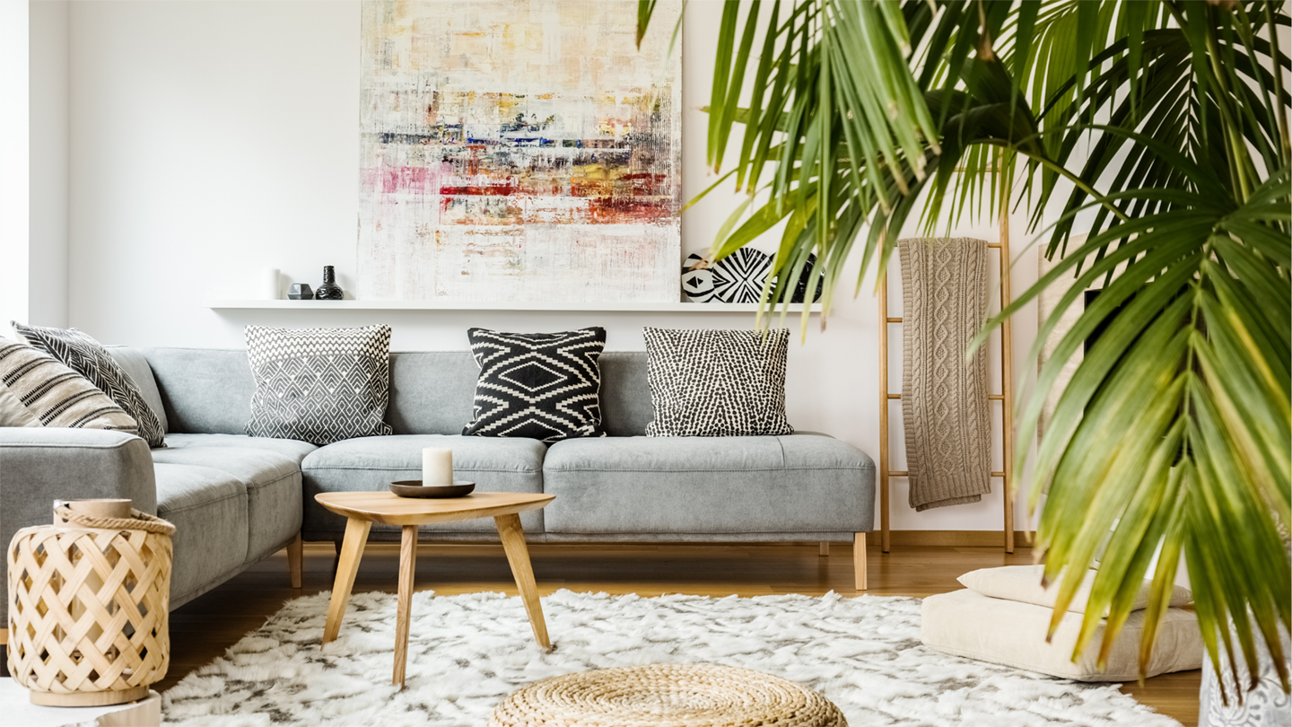 A houseplant and couch in a living room
